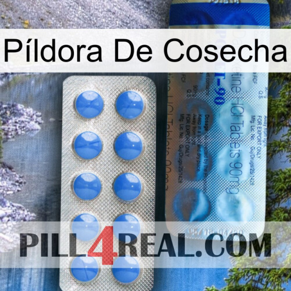 Píldora De Cosecha 40.jpg